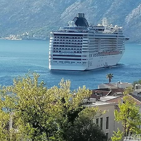 Apartment Bella Vista Κότορ Εξωτερικό φωτογραφία